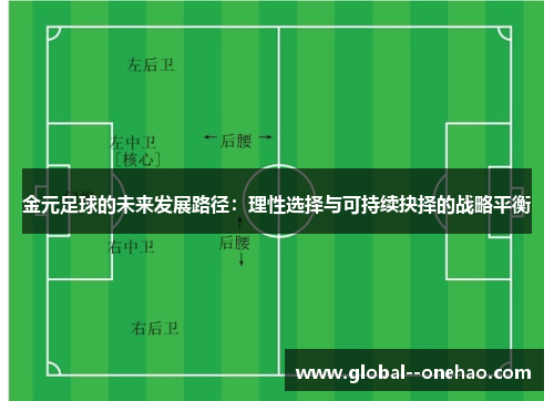 金元足球的未来发展路径：理性选择与可持续抉择的战略平衡