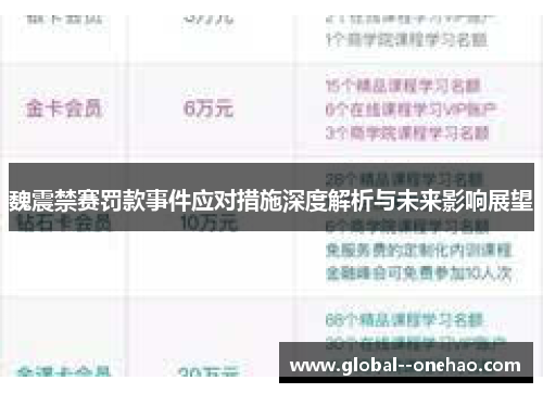 魏震禁赛罚款事件应对措施深度解析与未来影响展望