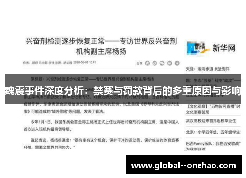 魏震事件深度分析：禁赛与罚款背后的多重原因与影响