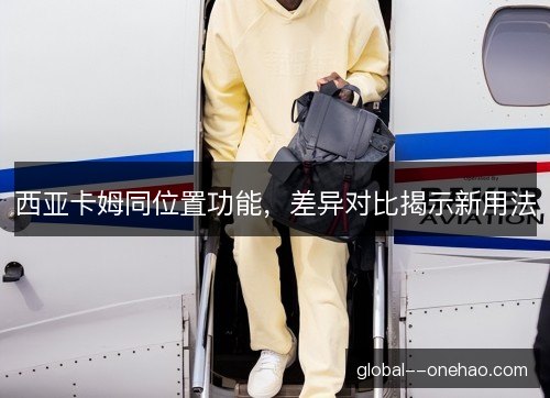 西亚卡姆同位置功能，差异对比揭示新用法